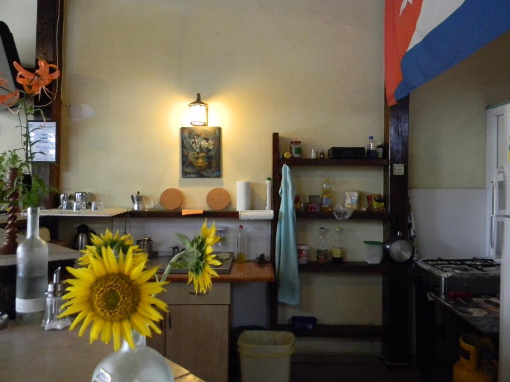 Casa Havana (Adults Only) Costinesti Exterior foto